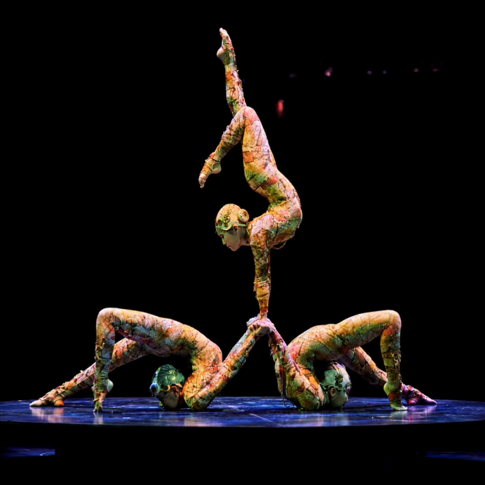 where-to-stay-in-sydney-for-cirque-du-soleil-kooza