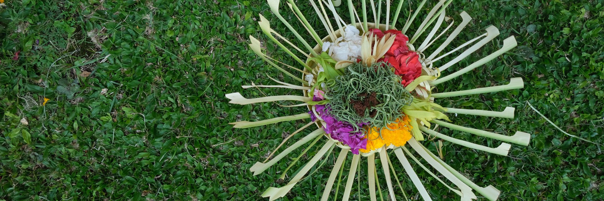 Raffles Bali - Tumpek Ceremonies: Honouring the Diversity of Life in Bali