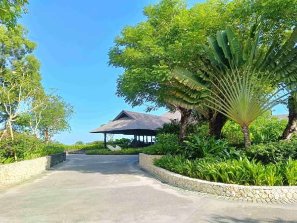 Discover the Symbol of Travel and Oasis at Raffles Bali: The Traveler’s Palm