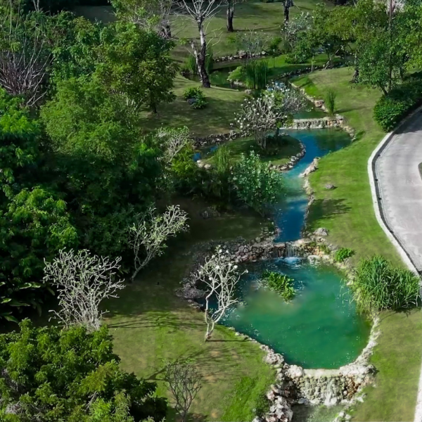 Raffles Wellbeing River: A Serene Oasis Honoring Nature’s Majesty