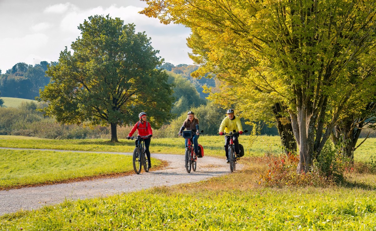 E-bike Rental