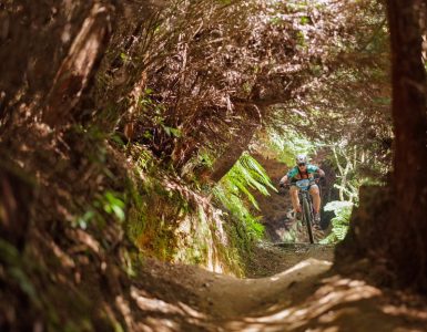 2026-volcanic-epic-mtb-stage-race