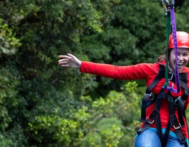canopy-tours