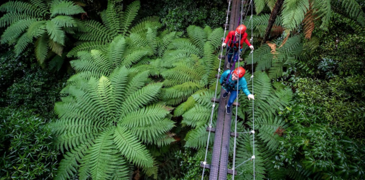 zipline-in-rotorua-reviews