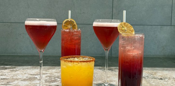 sip-into-world-gin-day