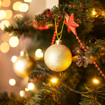 le-thap-sang-cay-thong-noel