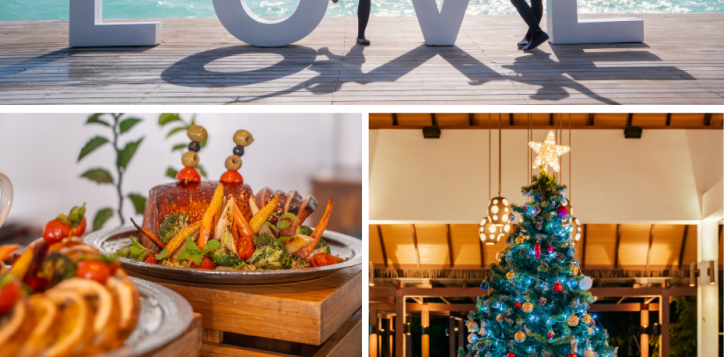 mmk_festive-christmas-offer-page_930x1200-px-2