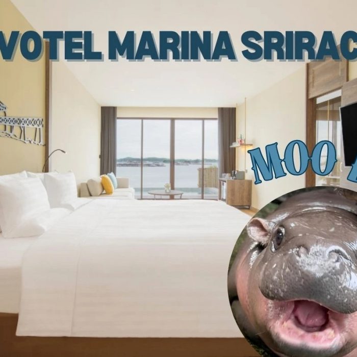 stay-with-novotel-while-you-visit-to-moo-deng-at-khao-kheow-open-zoo