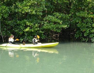 why-you-need-to-go-on-canoe-and-kayaking-adventures-in-koh-si-chang