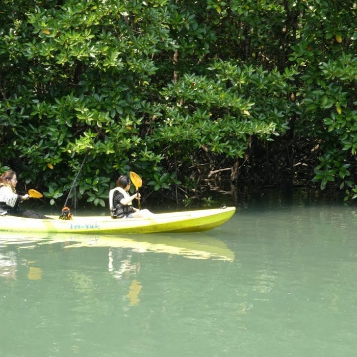 why-you-need-to-go-on-canoe-and-kayaking-adventures-in-koh-si-chang