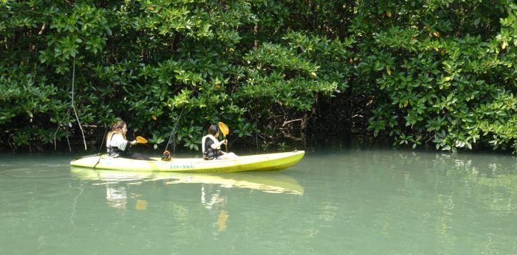 why-you-need-to-go-on-canoe-and-kayaking-adventures-in-koh-si-chang