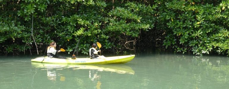 why-you-need-to-go-on-canoe-and-kayaking-adventures-in-koh-si-chang