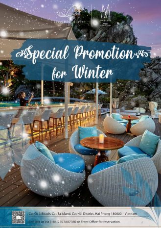 winter-promotion