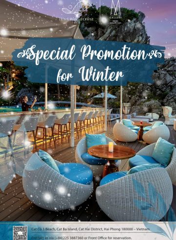 winter-promotion