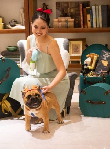 your-pet-friendly-stay