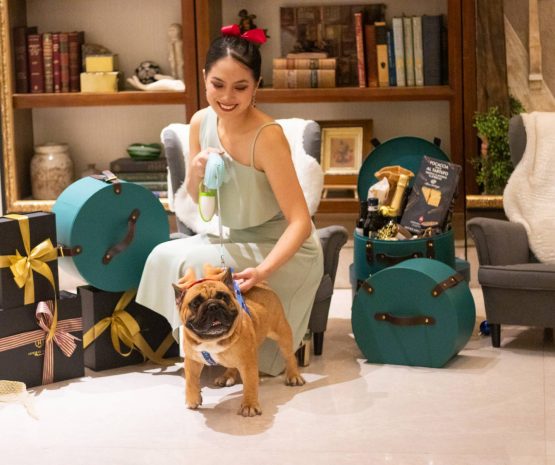 your-pet-friendly-stay