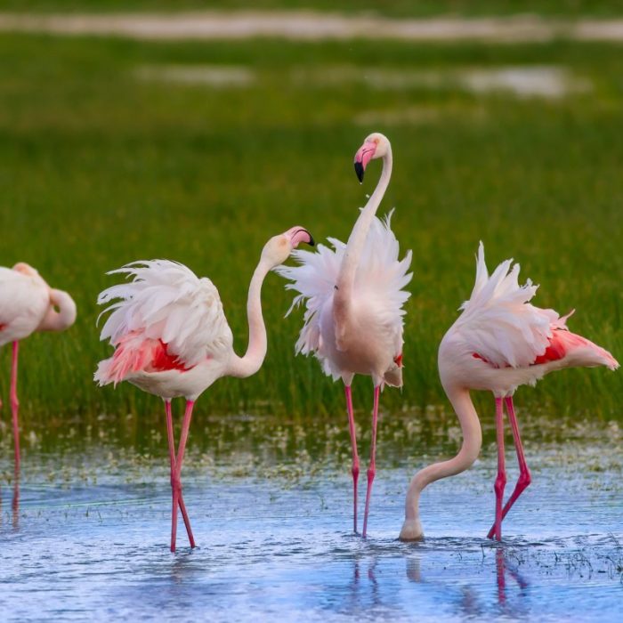 phu-quoc-national-park