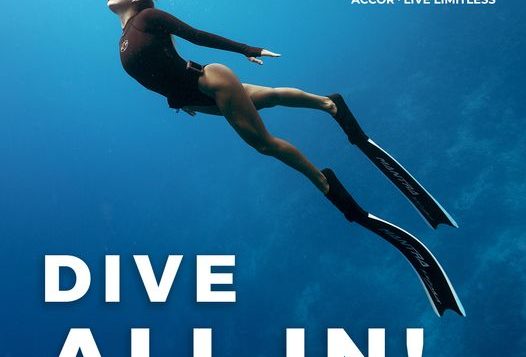dive-all-in-2