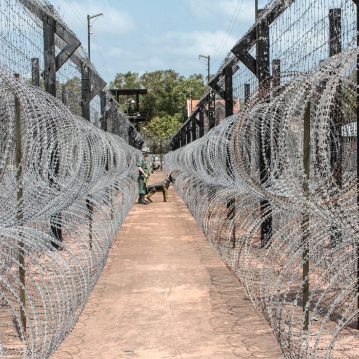 coconut-tree-prison