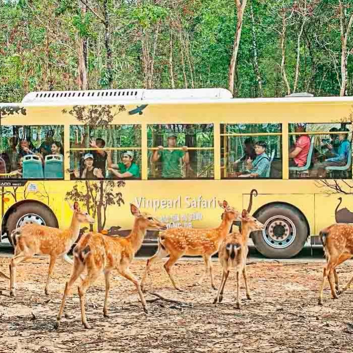vinpearl-safari