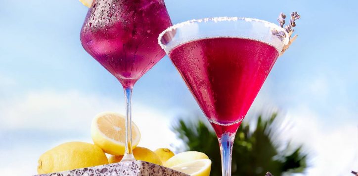 lavender-cocktail-1x1