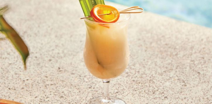 beach-house-pain-killer