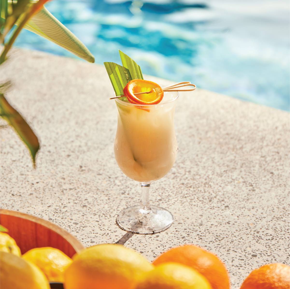 BEACH HOUSE PAIN KILLER