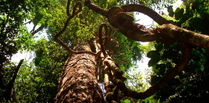 phu-quoc-national-park