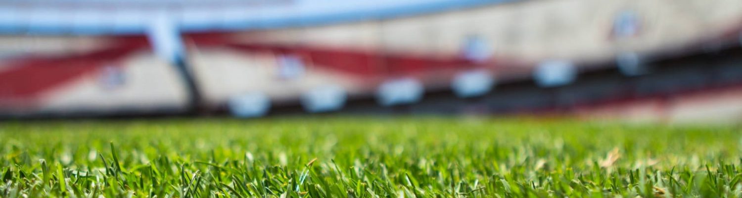 Green lawn on stadium field