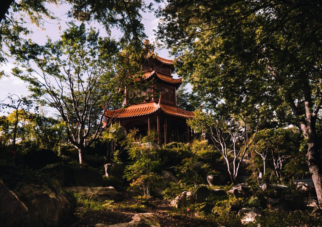 Mercure Sydney The Chinese Gardens   Felipe Palacio B8PmGnGNHGc Unsplash 1 1024x721 