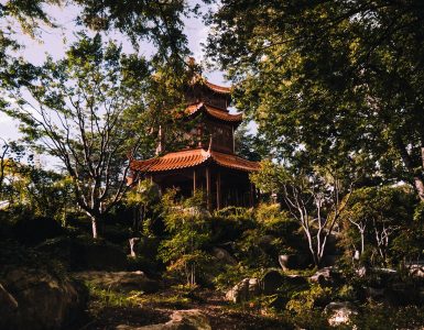 the-chinese-gardens