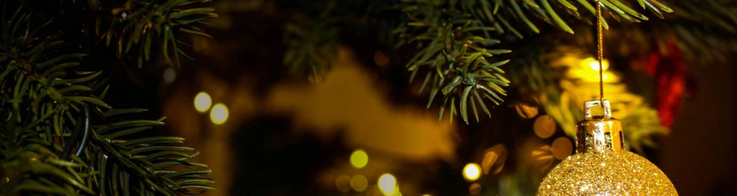 ce-christmas-offer-2025