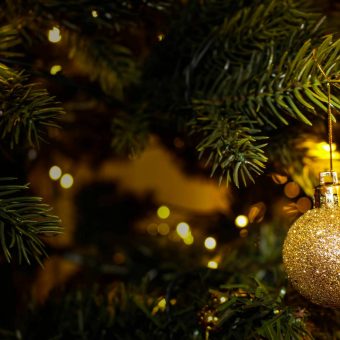 ce-christmas-offer-2025