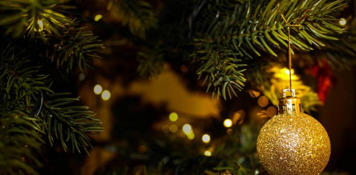 pexels-valeria-vinnik-51738-246351