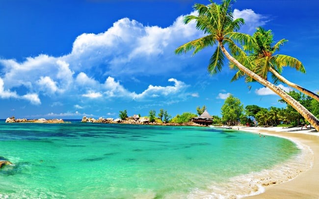 experience-phu-quoc-like-a-local-a-unique-journey-of-discovery