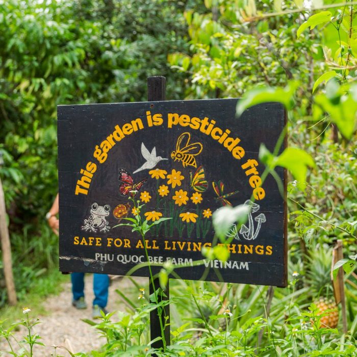 bee-kind-live-lightly-chuyen-ghe-tham-trai-ong-phu-quoc-cua-movenpick-resort-waverly-phu-quoc