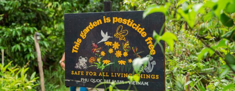 bee-kind-think-sustainably-movenpick-resort-waverly-phu-quocs-visit-to-bee-farm-phu-quoc