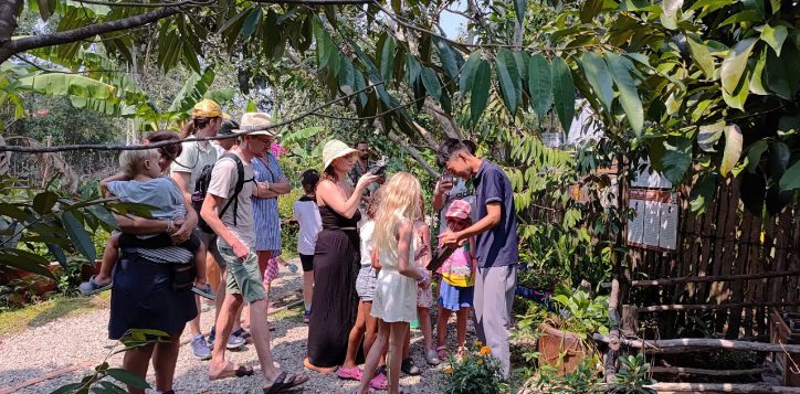 bee-farm-activity-2