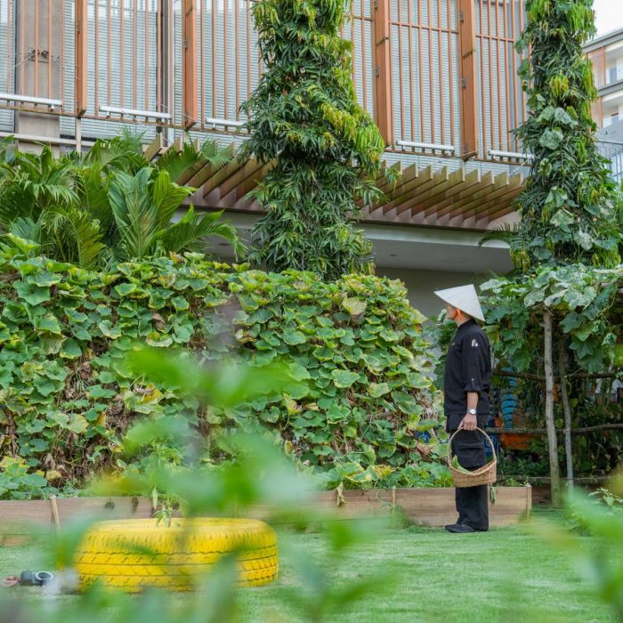vi-garden
