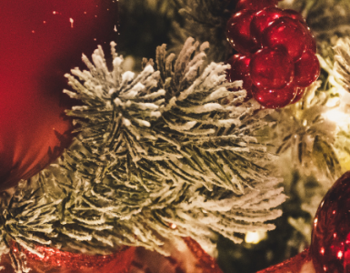 festive-offers-2025