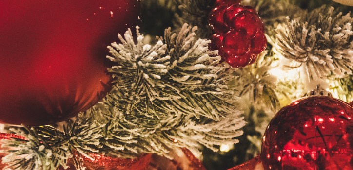 festive-offers-2025