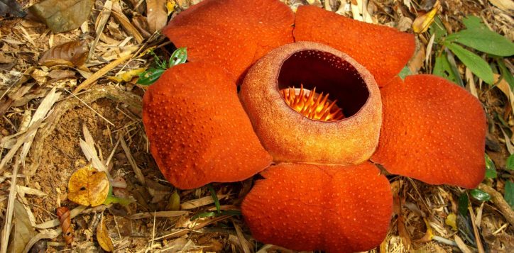 adobestock_1108371044-1