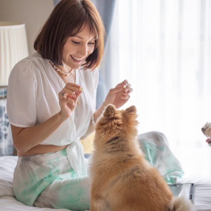 pet-friendly-hotel-khao-yai