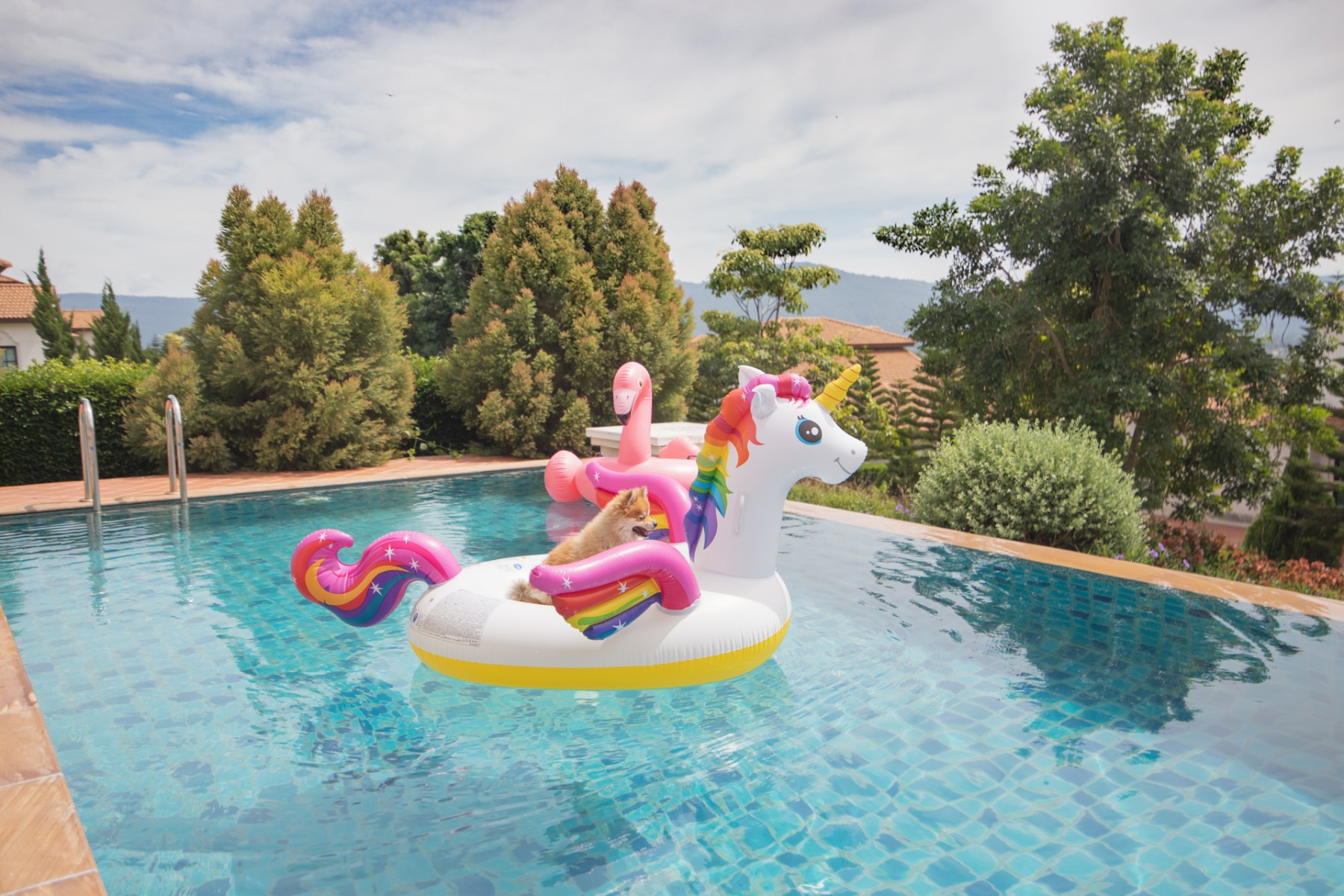 Poolside family fun at the swimming pool of Mövenpick Resort Khao Yai