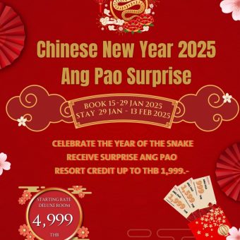 the-ultimate-chinese-new-year-2025