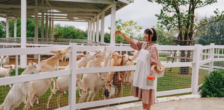 %e0%b8%9b%e0%b8%a3%e0%b8%b0%e0%b8%81%e0%b8%b2%e0%b8%a8%e0%b8%ad%e0%b8%a2%e0%b9%88%e0%b8%b2%e0%b8%87%e0%b9%80%e0%b8%9b%e0%b9%87%e0%b8%99%e0%b8%97%e0%b8%b2%e0%b8%87%e0%b8%81%e0%b8%b2%e0%b8%a3-zoonivers