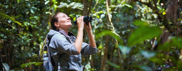 hotel-near-khao-yai-national-park