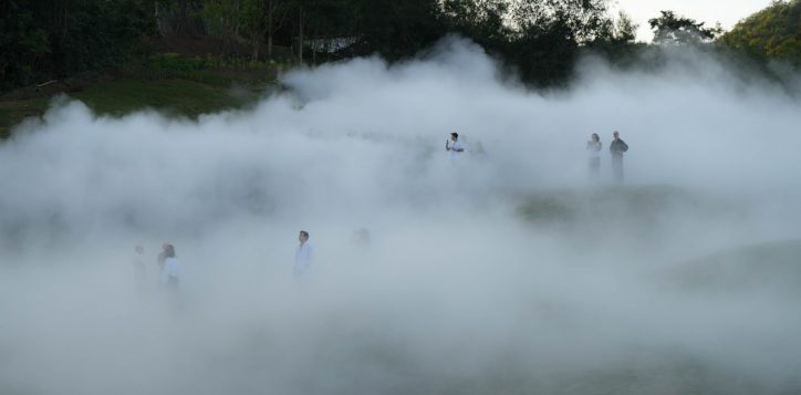 fog-forest