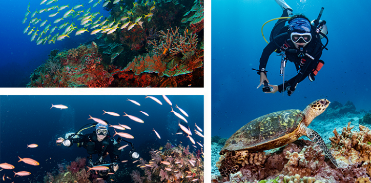 similan-islands-2