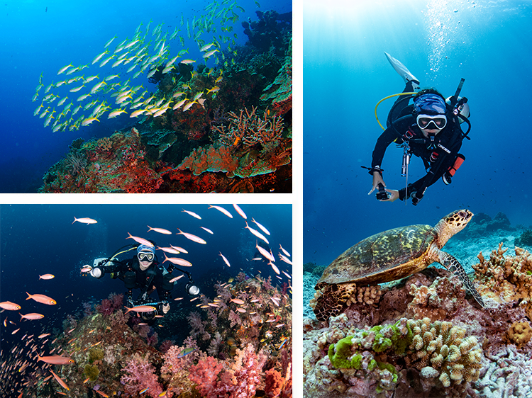 similan-islands-1